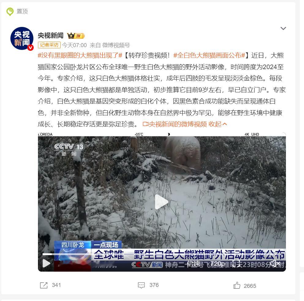 没有黑眼圈的大熊猫出现了 松弛的大熊猫，早睡早起，锻炼身体来一套没有黑眼圈的正常