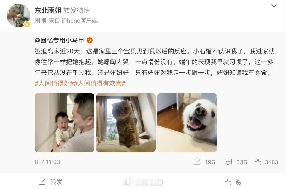 东北雨姐发博 本人账号那条转发微博目前已经删了，这是准备打复活赛吗[吃瓜] ​​