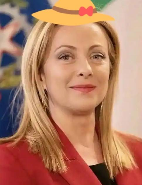 谁能想到，砸下70多亿欧元真金白银，最后竟然换来一张“连话都不许说”的旁听证？意