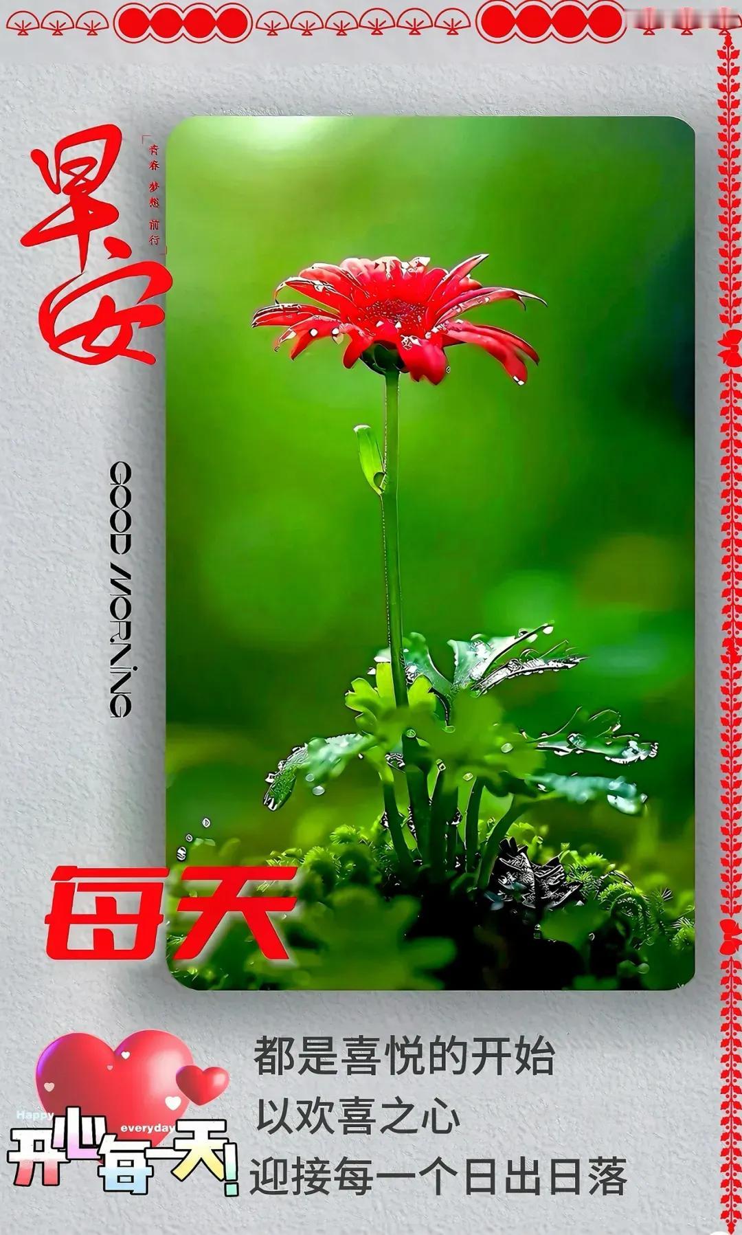 周四清晨阳光照，早安问候来送到。  
抛开烦恼和疲劳，快乐时光真美妙。
早安吉祥