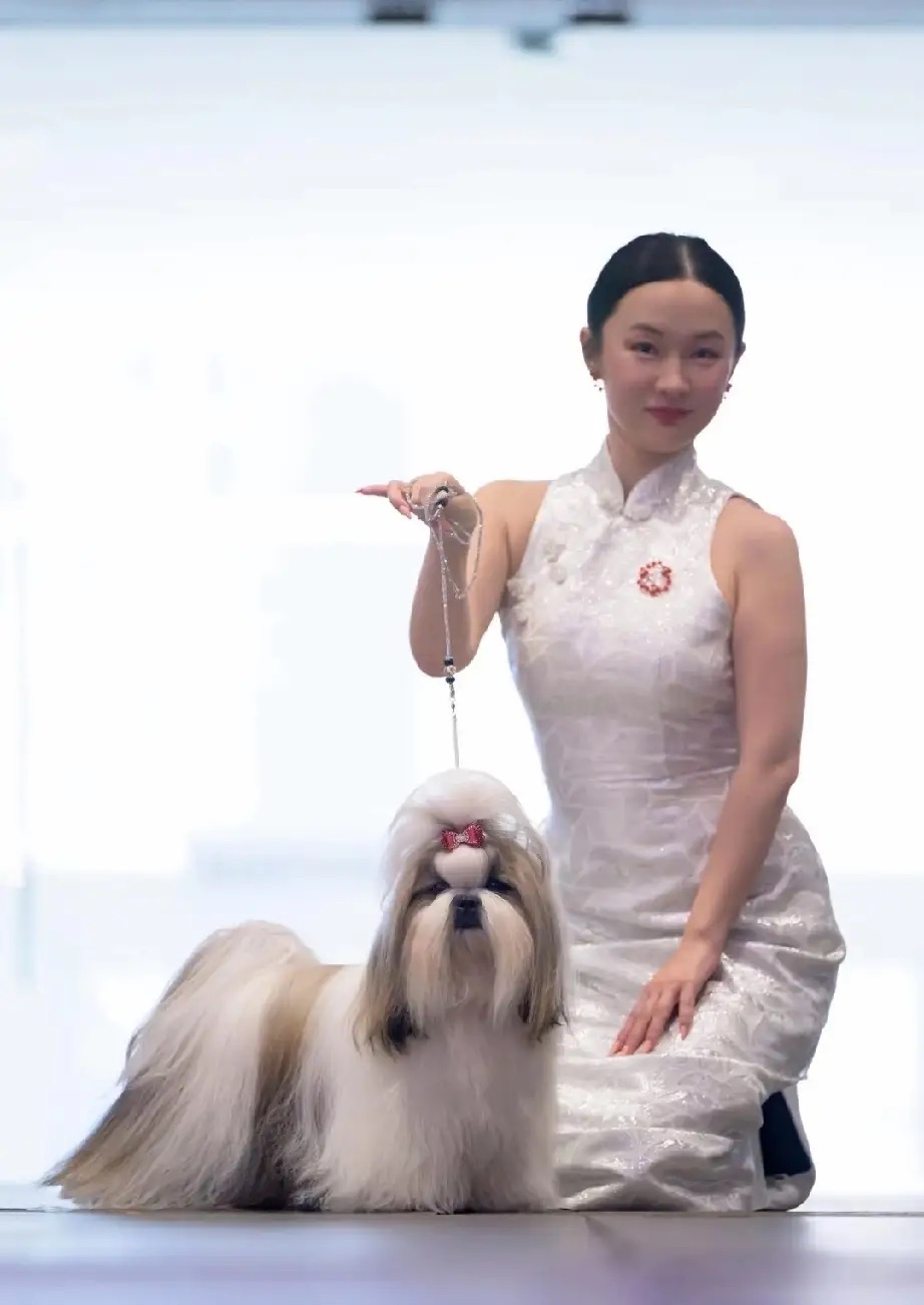 霍思燕带狗狗比赛好几场都是穿的旗袍，除了被夸好看的那套红色旗袍，还有一套白色挂脖