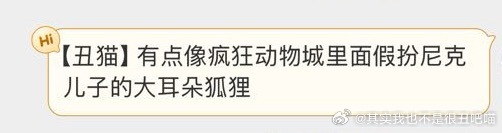 49093【丑猫】 