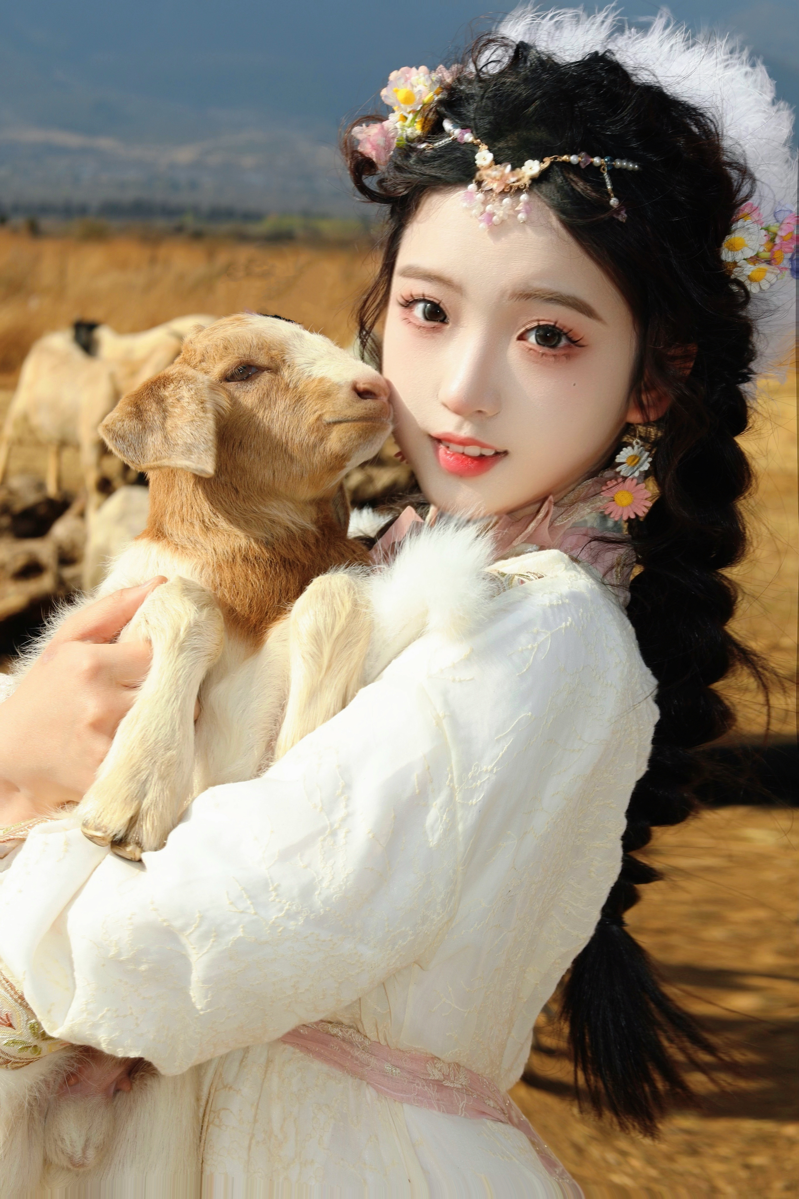 蓝蓝天空晴朗～青青草地也芳香 慢慢长大的小羊 ​​​