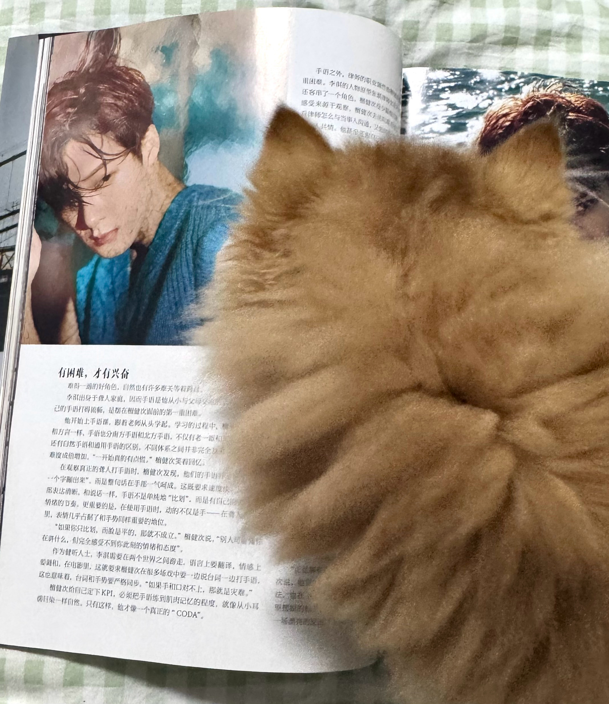 杂志上说了什么？咪也想看看 ​​​