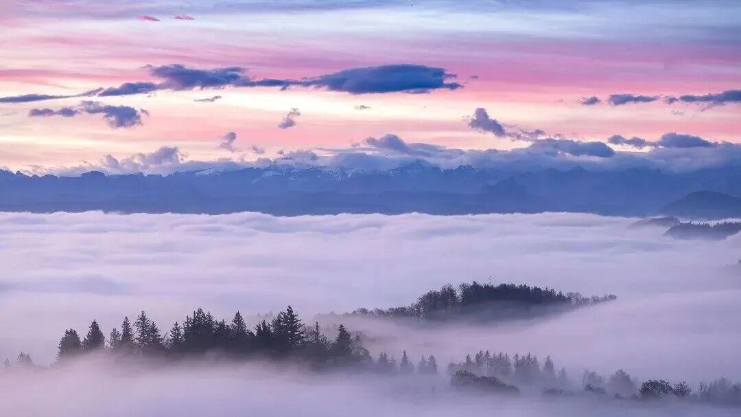 成年人的两次崩溃，一次是突然发现父母的老去；一次是猛然意识到自己无力改变现状并且