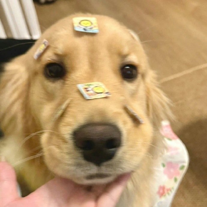 超级好运环绕的能量头像🍀 