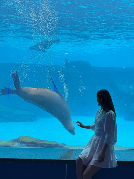 𝐁𝐥𝐮𝐞 🌊｜在上海海昌当一天「野孩子」吧！