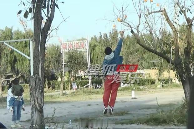 #王传君为女儿交罚款摘柿子# 哇！好宠女儿[哇] ​​​