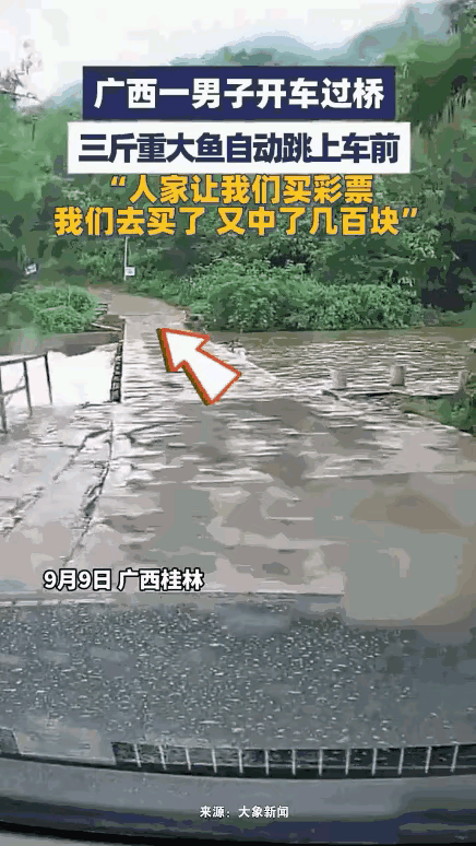 “这就是命啊！”9月9日，广西桂林，一男子开车过桥，正开着，“啪嗒”一声，一条3