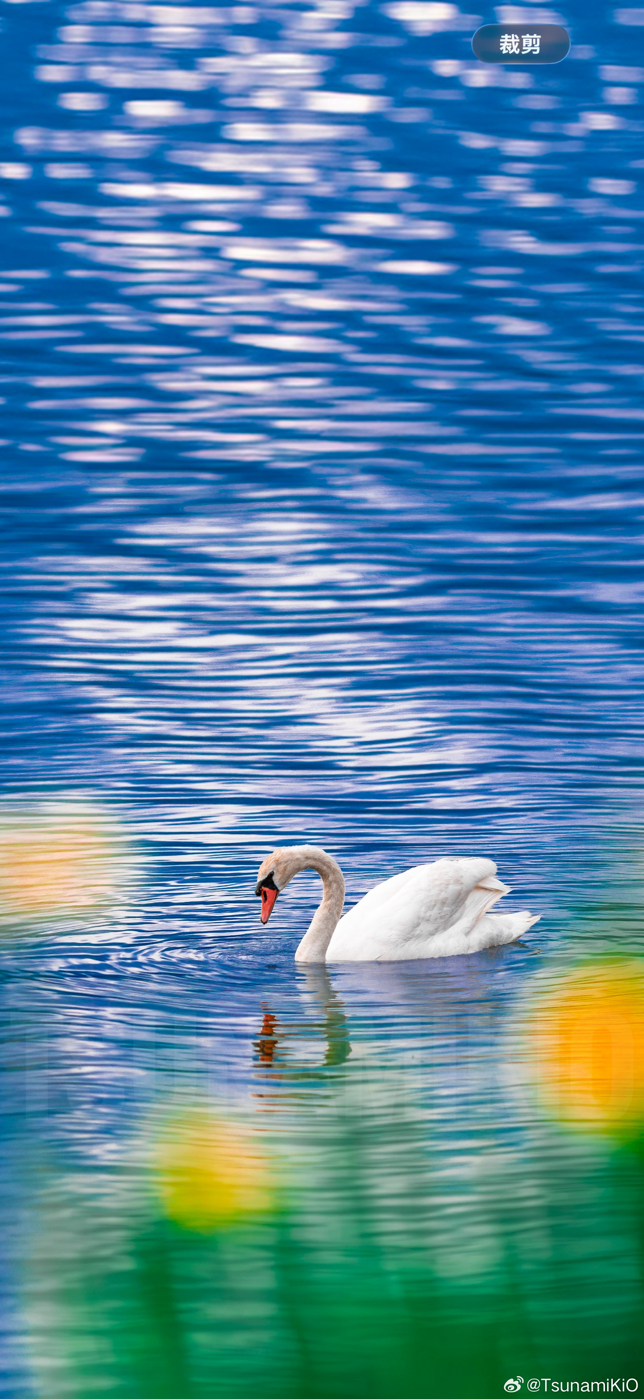真·空气切割机的实力媲美中画幅的解析力尼康Z9配合F 200mm G ED f2