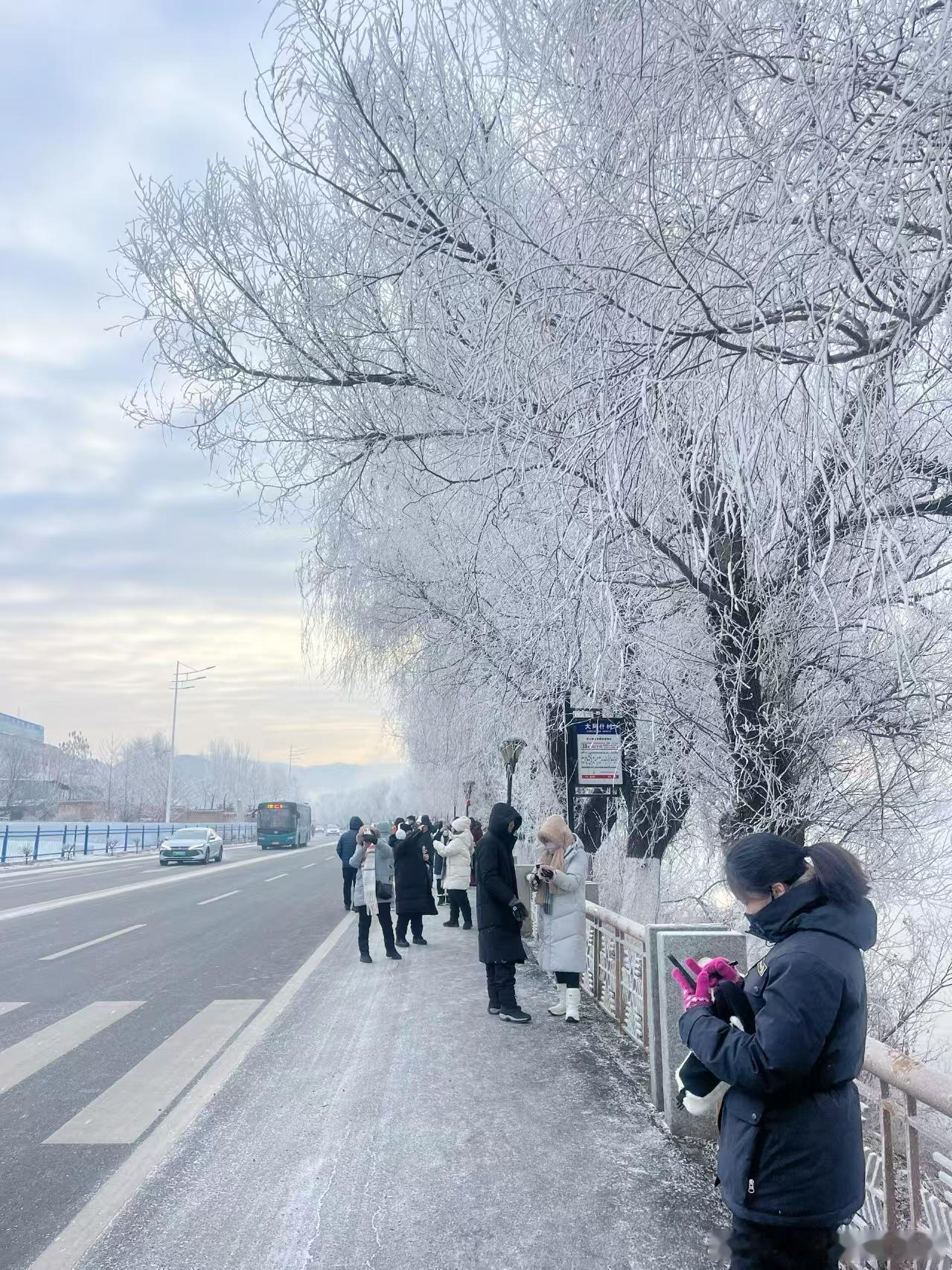 超出片计划  🌨️✨吉林雾凇仙境 哇塞！吉林的冬天简直就是上帝打翻的调色盘嘛！