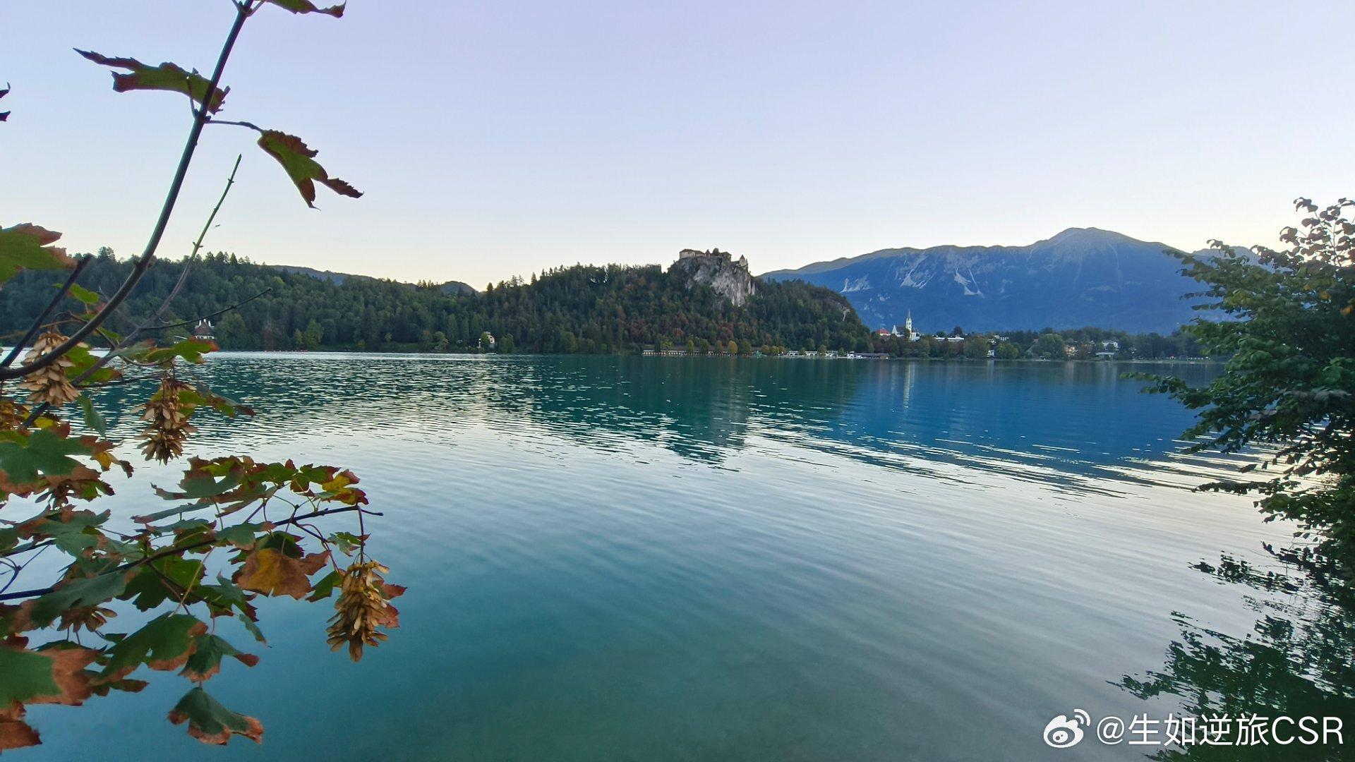 清晨寧靜的bled lake。明天開始就要戰鼓擂擂了。  ​​​