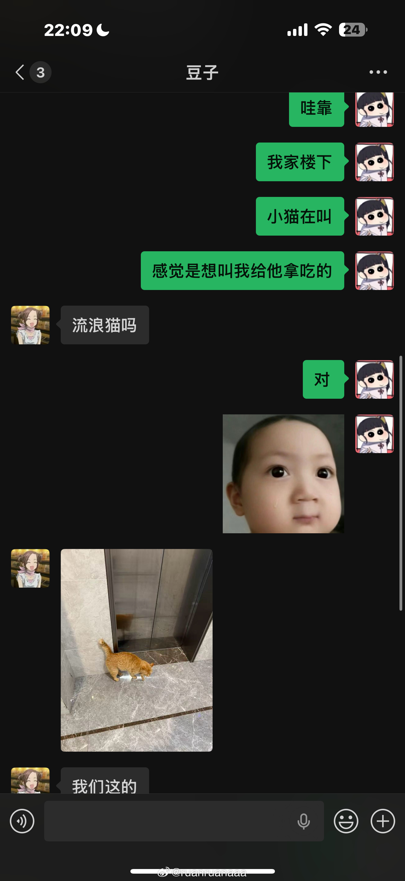 我给我的朋友们发家楼下的流浪猫结果发现他们跟我一样 甚至比我有爱心要我说能成为朋