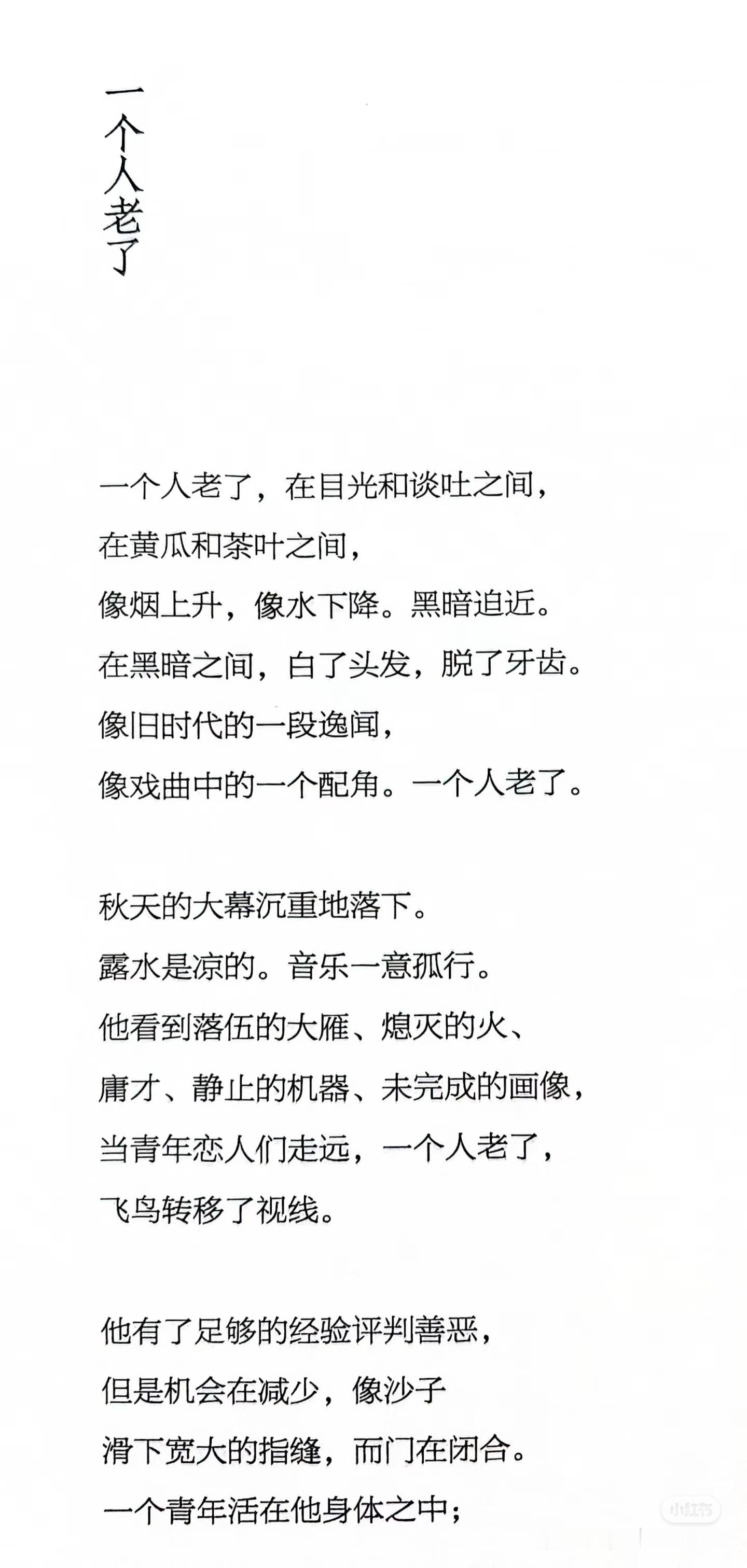 《一个人老了》 佳作推荐 ​​​