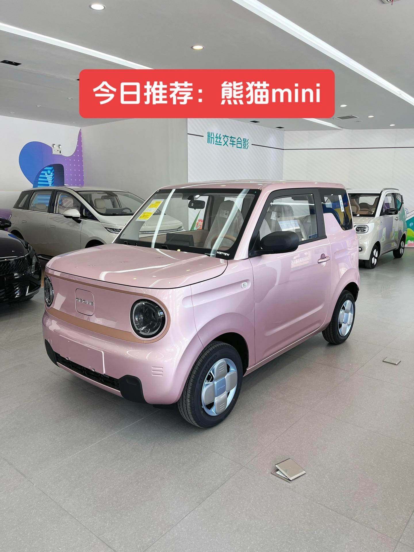 新能源代步车：熊猫mini耐力熊。3万多块钱的小车能带快充慢冲，性价比真的很高
1.车身小巧,转弯停车都很方便,续航200公里足够用
2.支持快慢充，快充1个半小时内充满，,慢充充满需要花8-9小时。