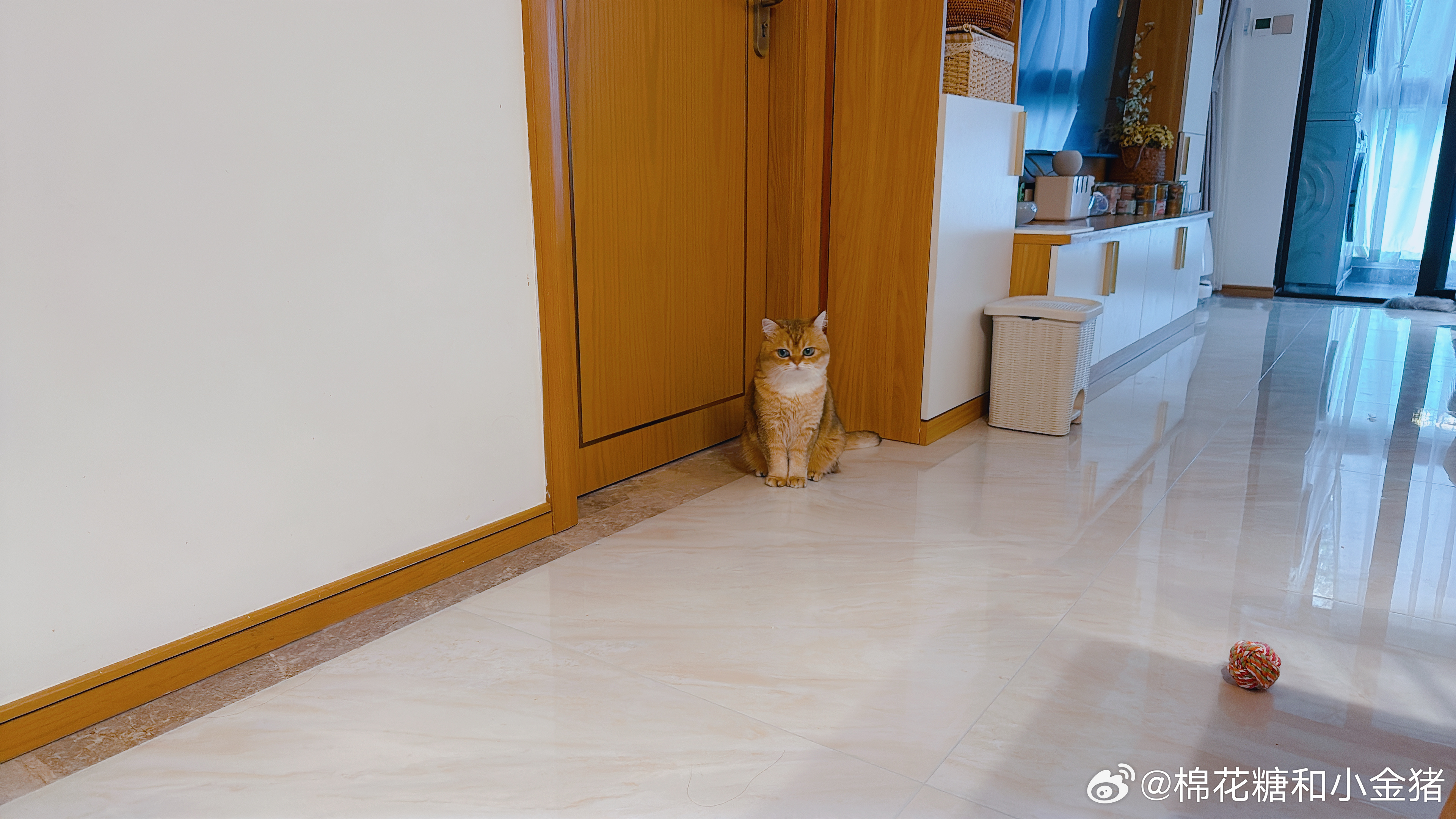 跟舟妈一起团购了逗猫棒和猫薄荷玩具，到货了舟妈来拿走了自己那份。某位管家看到，又