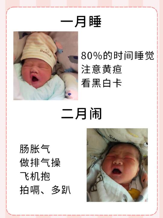 0-12月宝宝成长发育过程，关键早教计划