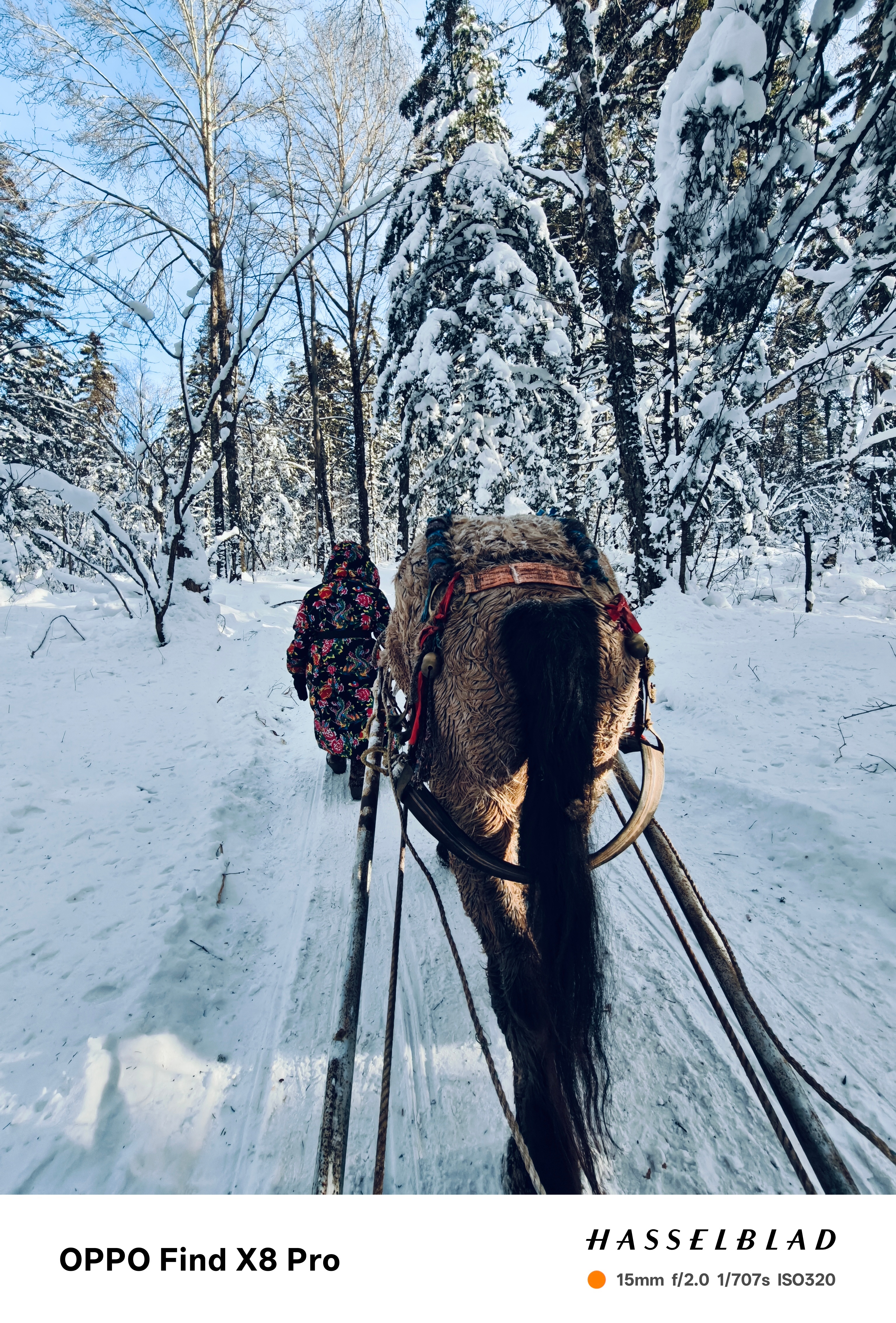 今天要离开长白山了，但天池今天也开放了！[苦涩] 