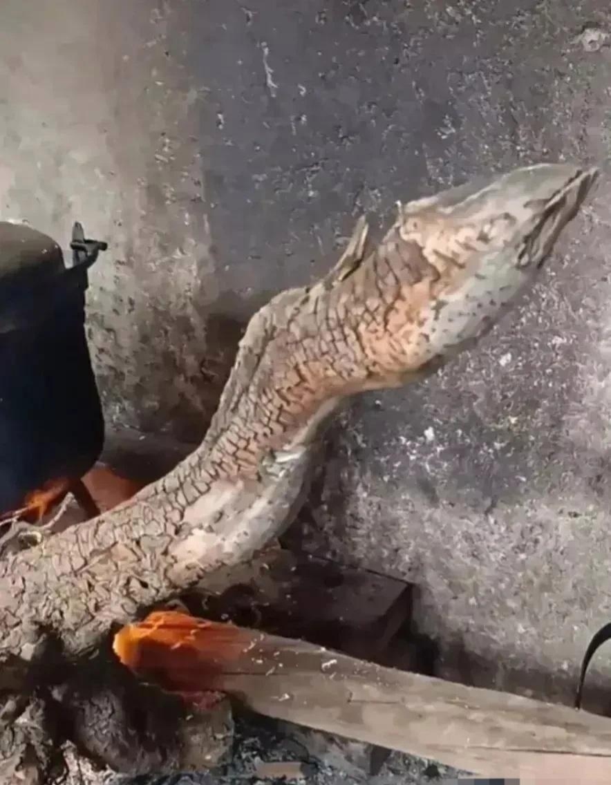 这根木头看着好不一般，能烧吗？ 