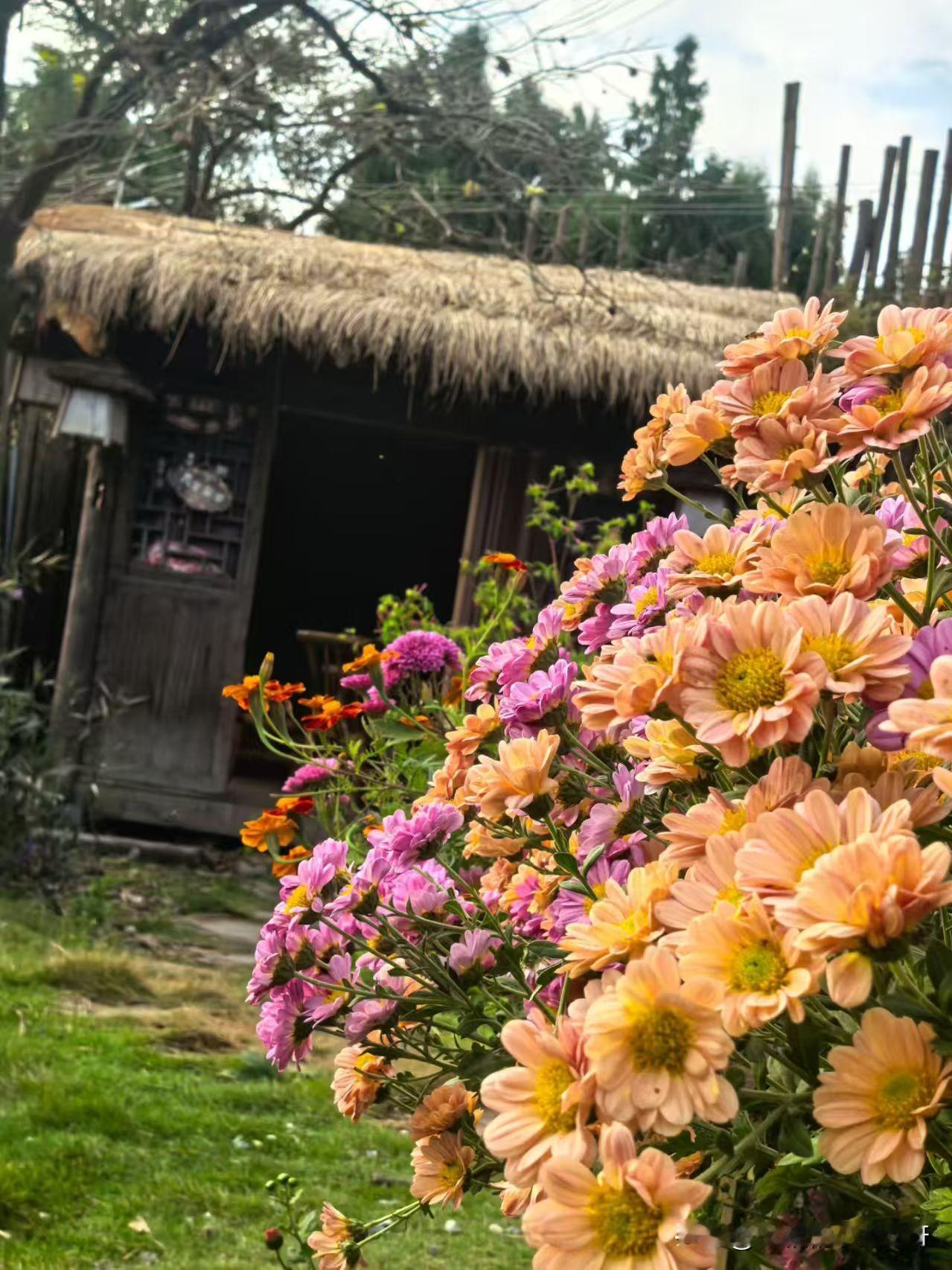 年薪3万你们说丢脸吗？

有人说年薪两三万能做什么，要是我根本就活不下去，一个月