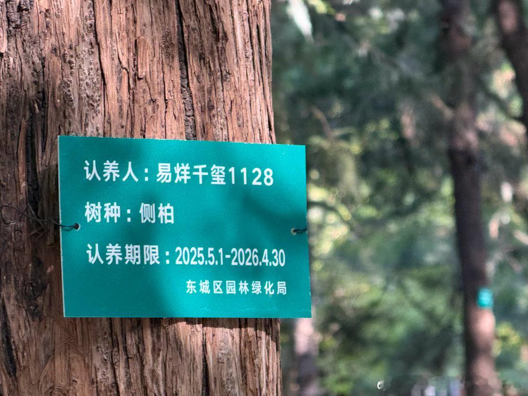 跟着小朋友满公园的找树