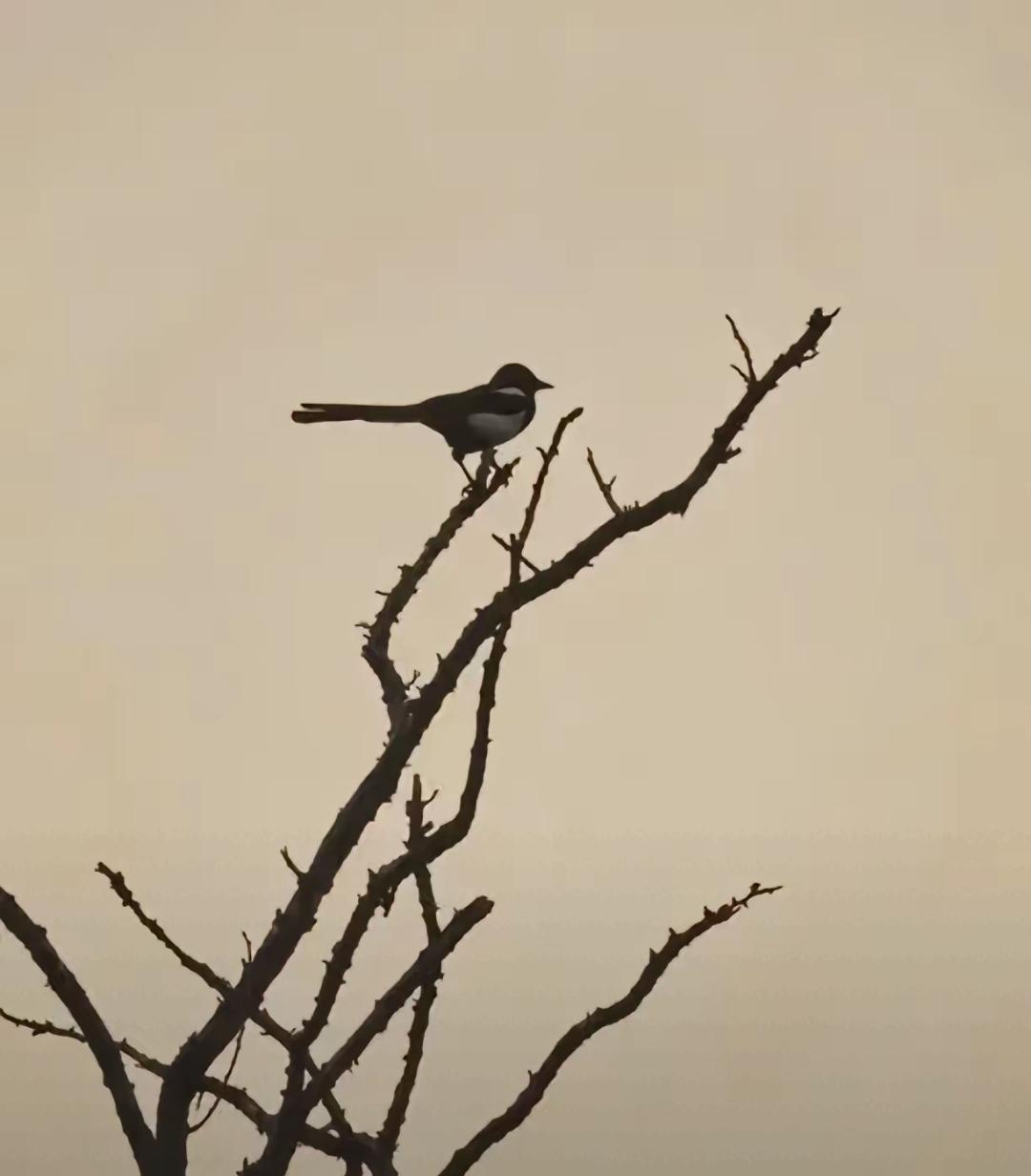 人和人交往的本质是什么?人和人交往的本质，是交换和互惠，包括物质利益，情绪价值，