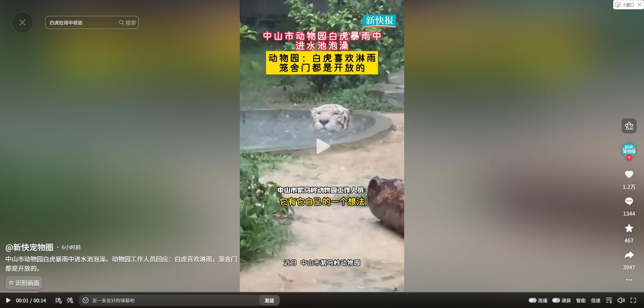 笑不活了！广东，中山紫马岭动物园突降暴雨，园内动物纷纷寻找遮蔽之处，然而，一只白
