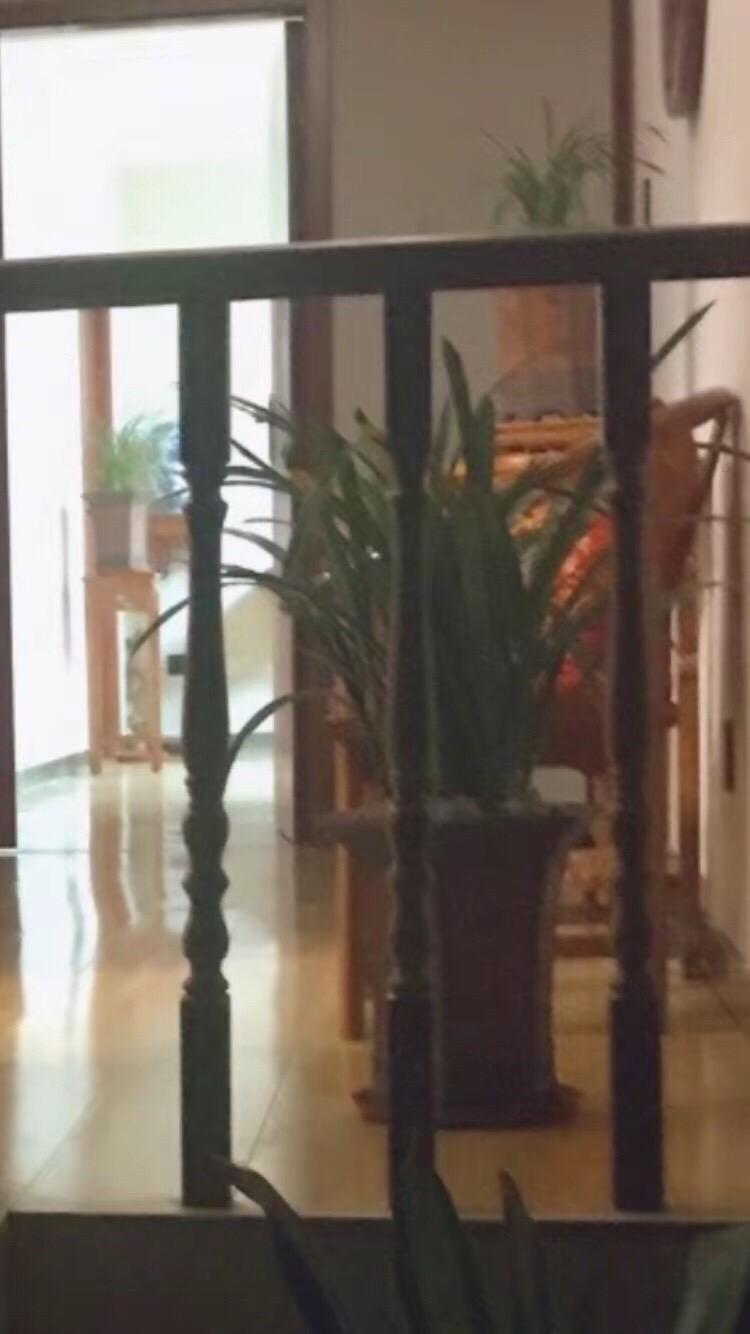你到底是想要成功，还是一定要成功?

一身正气 努力的人最幸运 努力工作努力赚钱