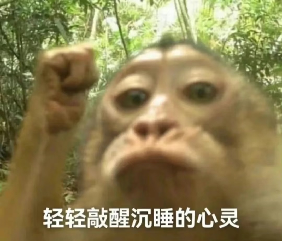 早早早 都上车了没[么么哒]捞①（）捞②（）捞③（） ​​​