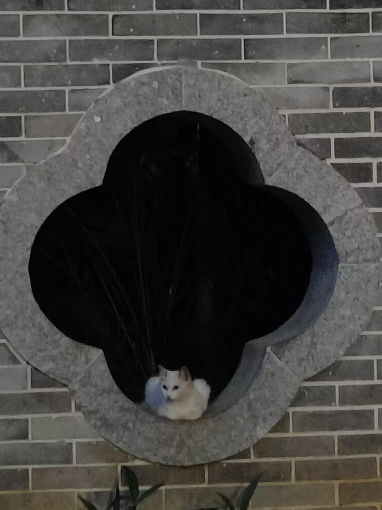今天与辉同行上架了定制老陈醋，传熙“深挖”了一番与辉同行的几个山西“醋坛子”。[