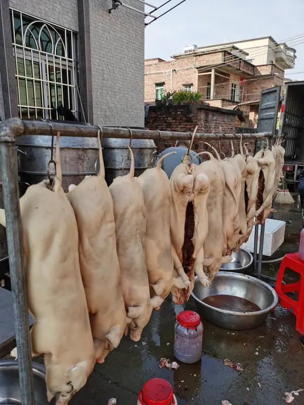 粤西最大批发屠宰市场开业 12月22日，粤西最大的批发屠宰市场——湛江润康三鸟批