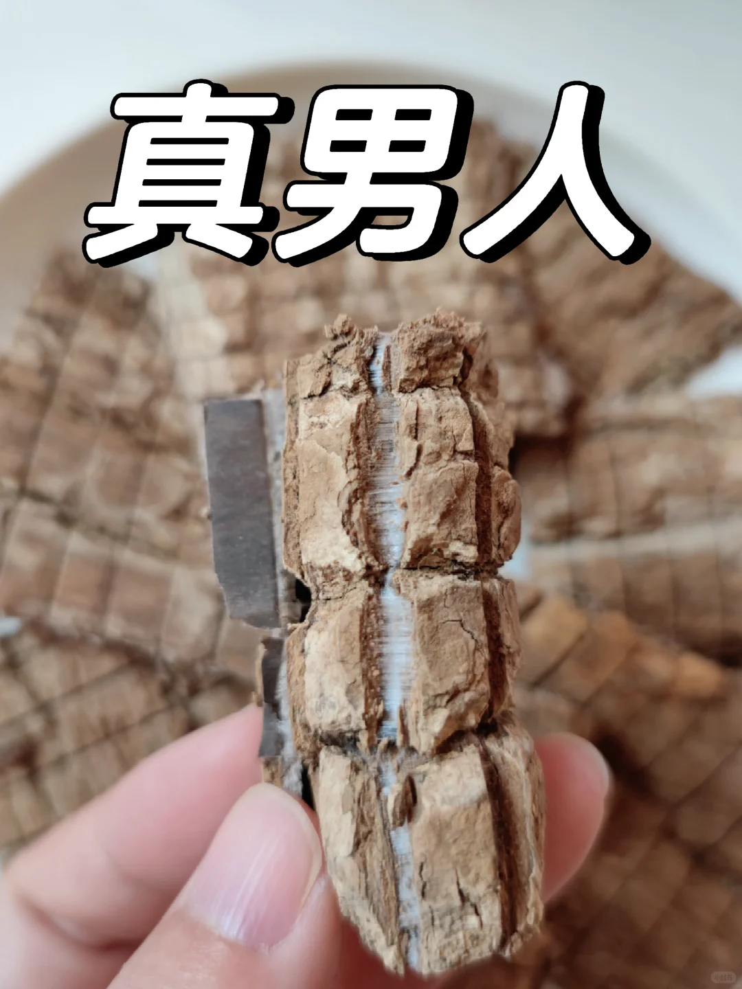 听说了没？这个真男人，大狼狗老公安排