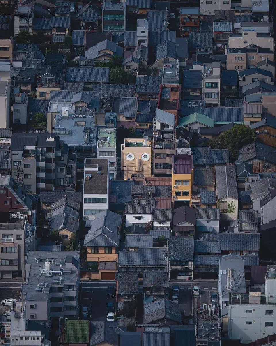 看，它在看着你日本京都建筑 ​​​