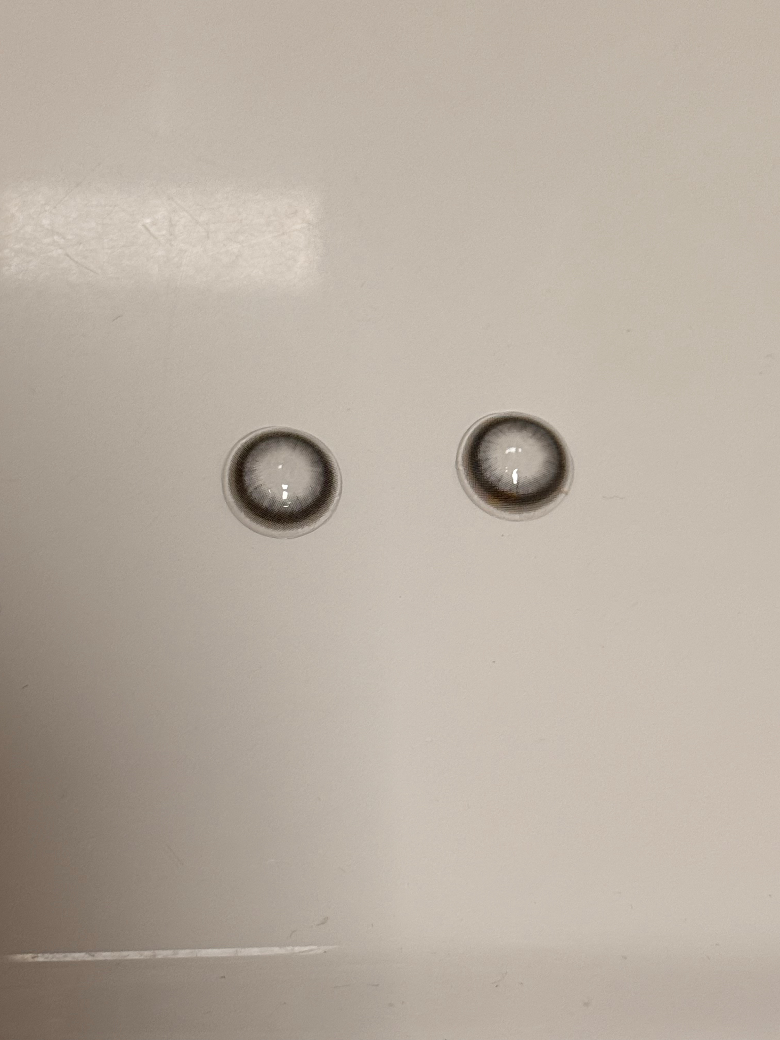谢谢你像巧克力一样闯进我的生活 但我是狗 你毁了我的生活