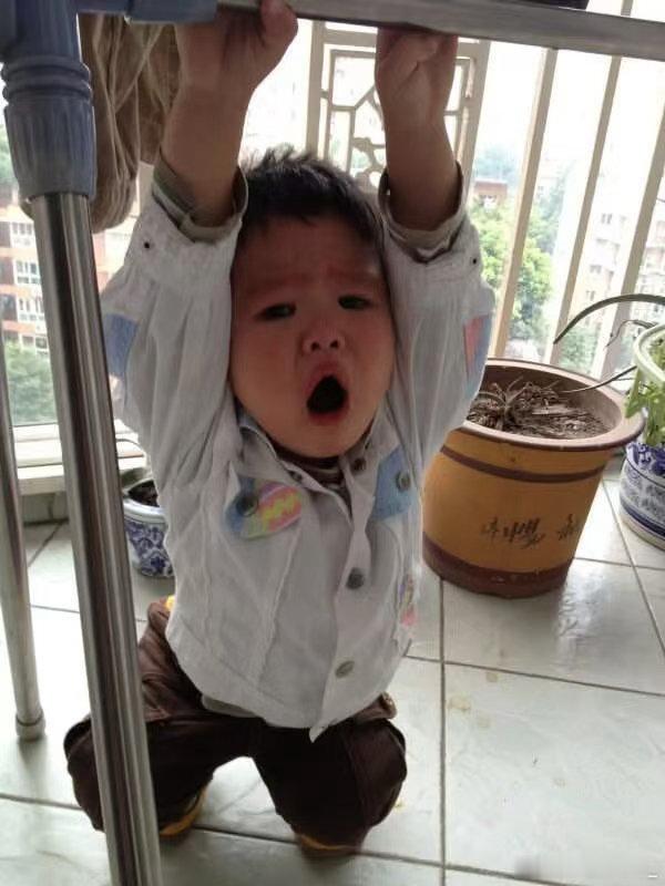 你这样求我我也不会再让你养第四只了[左哼哼] ​​​