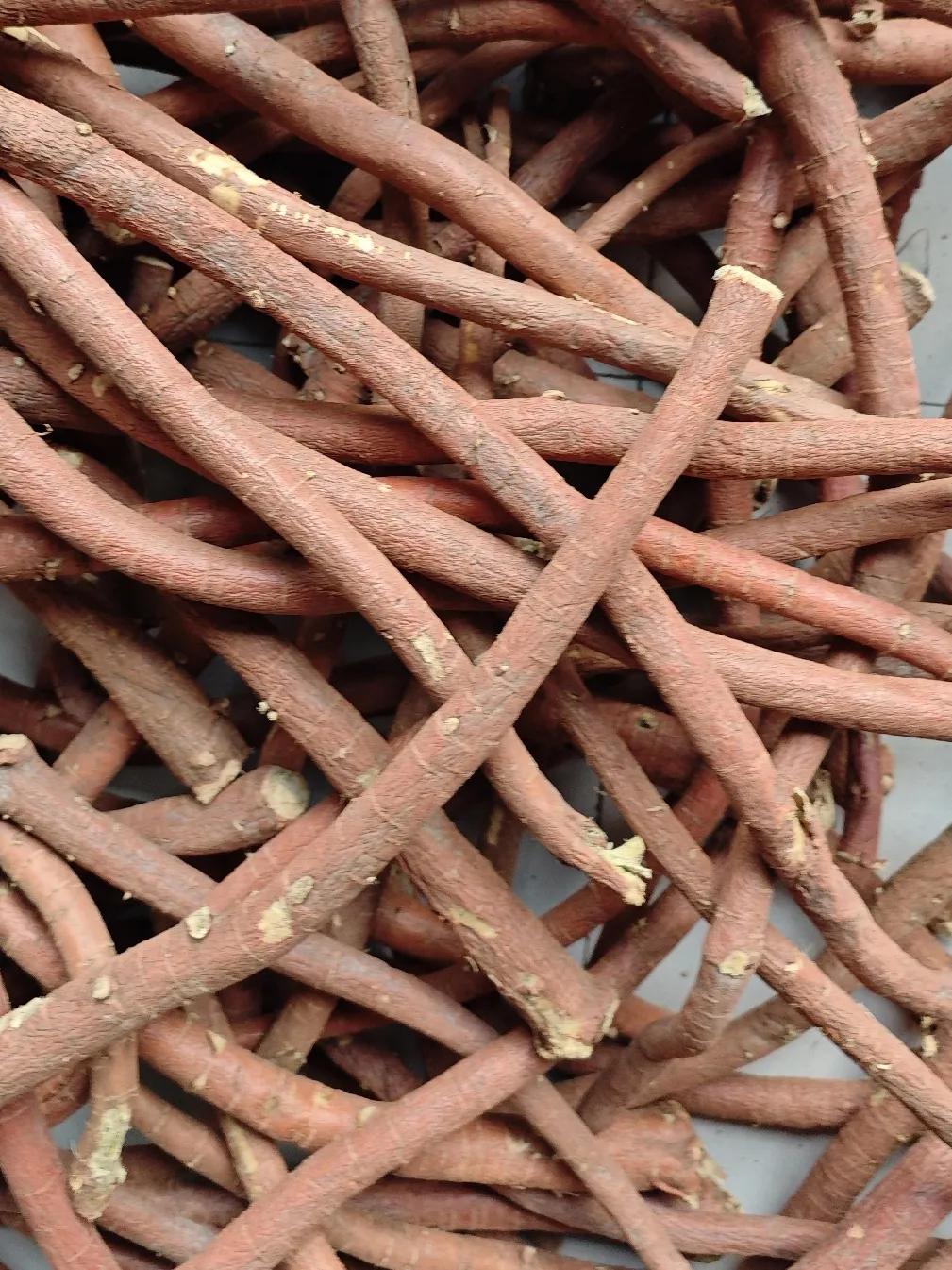 金日亳州中药材市场部分药材价格：黄芪35元/千克，当归78元/千克，党参88元/