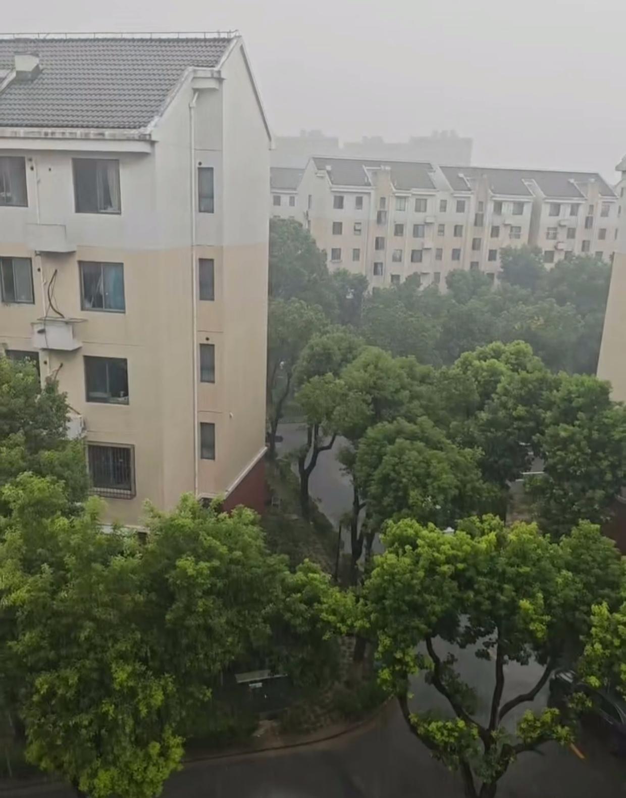 上海的天气就像孩子的脸说变就变，这不中午还是烈日炎炎30几度的高温，转眼间乌云密