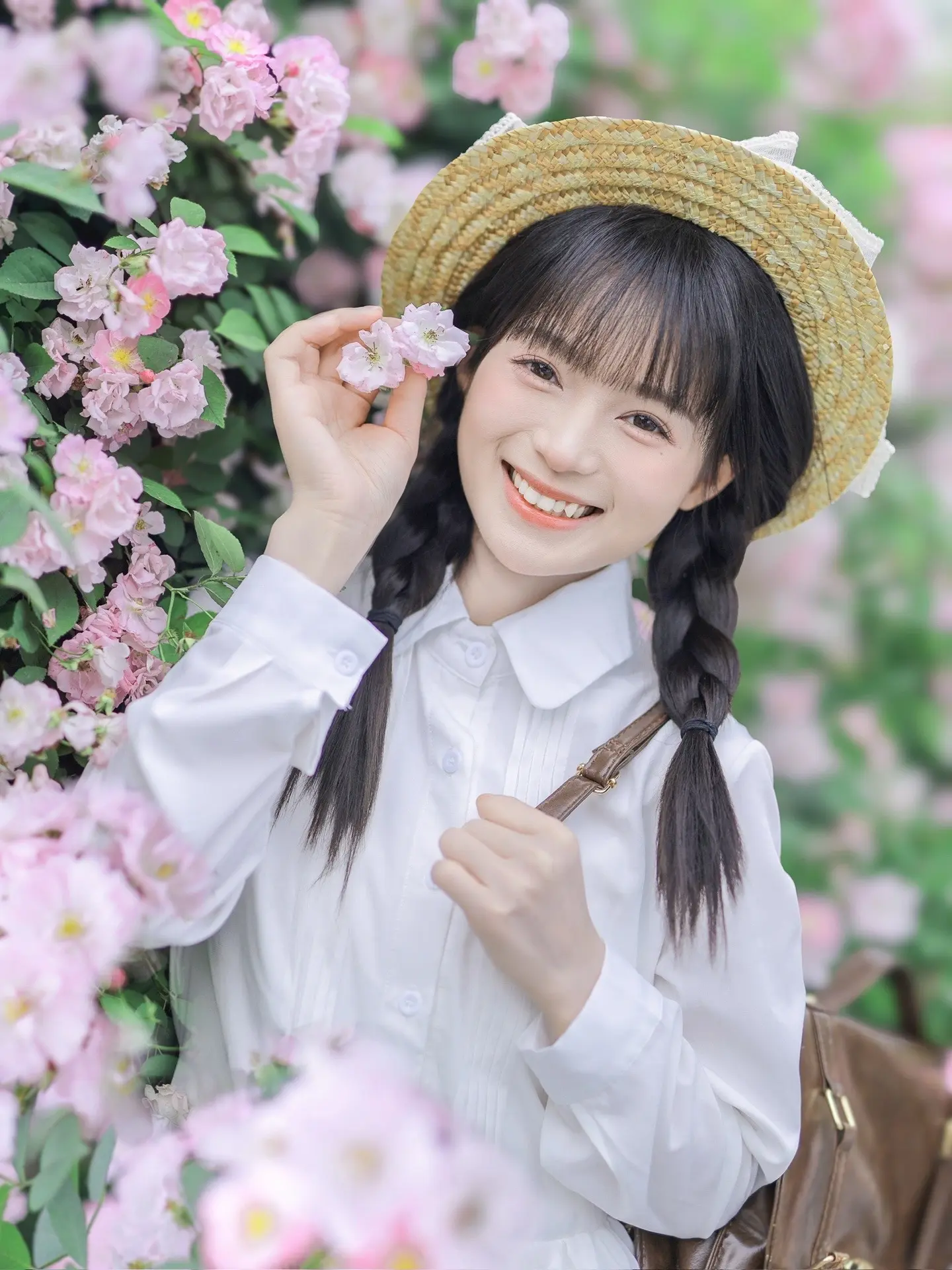 和蔷薇一起盛放