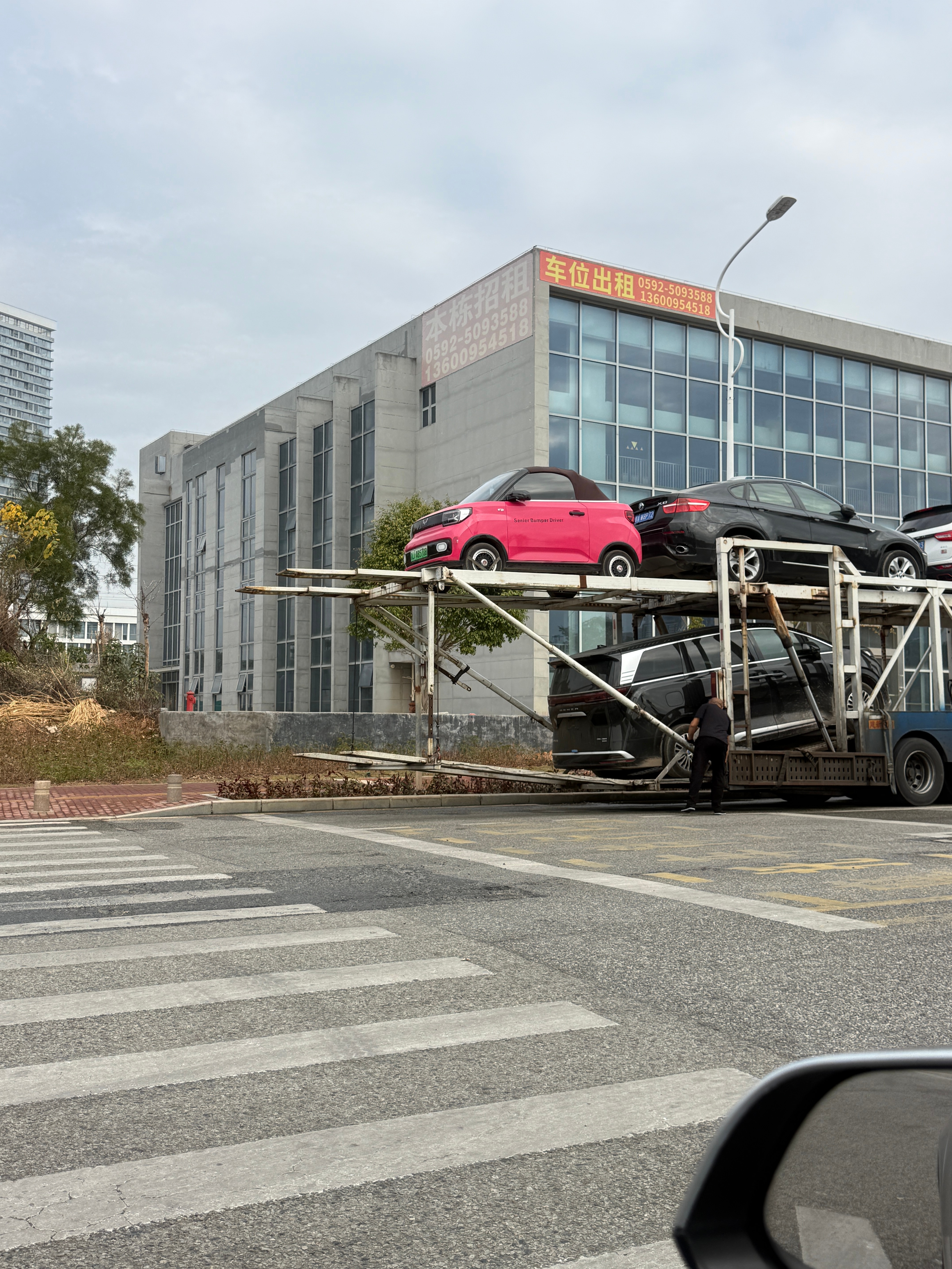 真是显眼包啊，被吊的高高的，一眼就找到了看到它还是莫名的想笑，长得真可爱 厦门