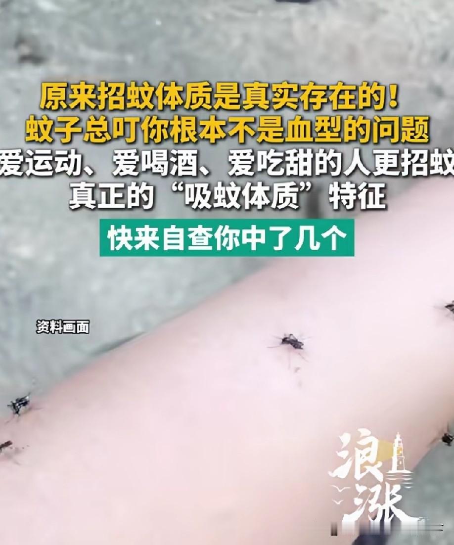 我属于招蚊子的人，但是我不喝酒，不爱吃甜的，也不爱运动！