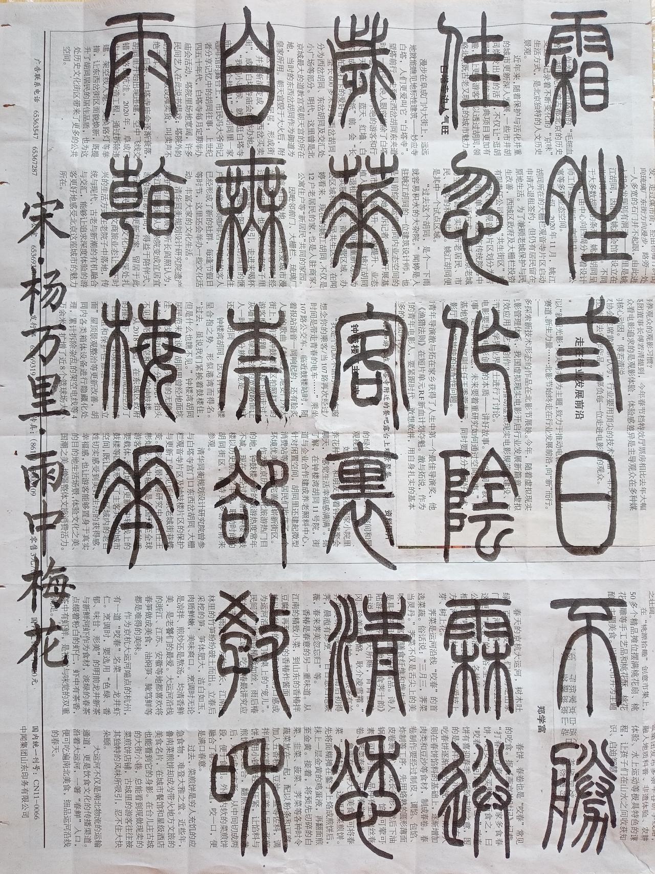 书法练习打卡，篆书宋朝杨万里诗，“雨中梅花”。诗曰：霜晴三日不胜佳，忽作阴霖送岁