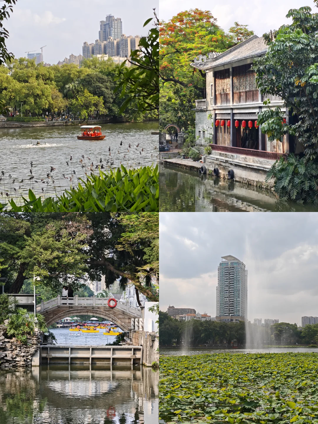 广州|荔湾湖公园，尽藏老西关的温柔