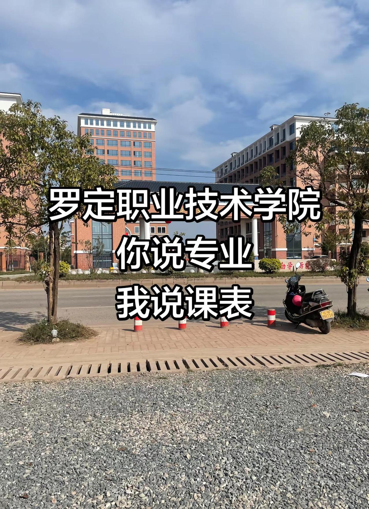 罗定职业技术学院，你说专业，我说课表。