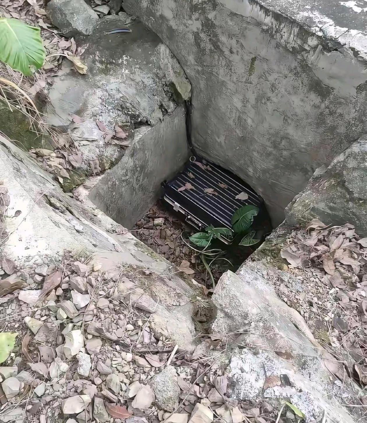 如果你们在野外上厕所发现了这个，一般会怎么做？