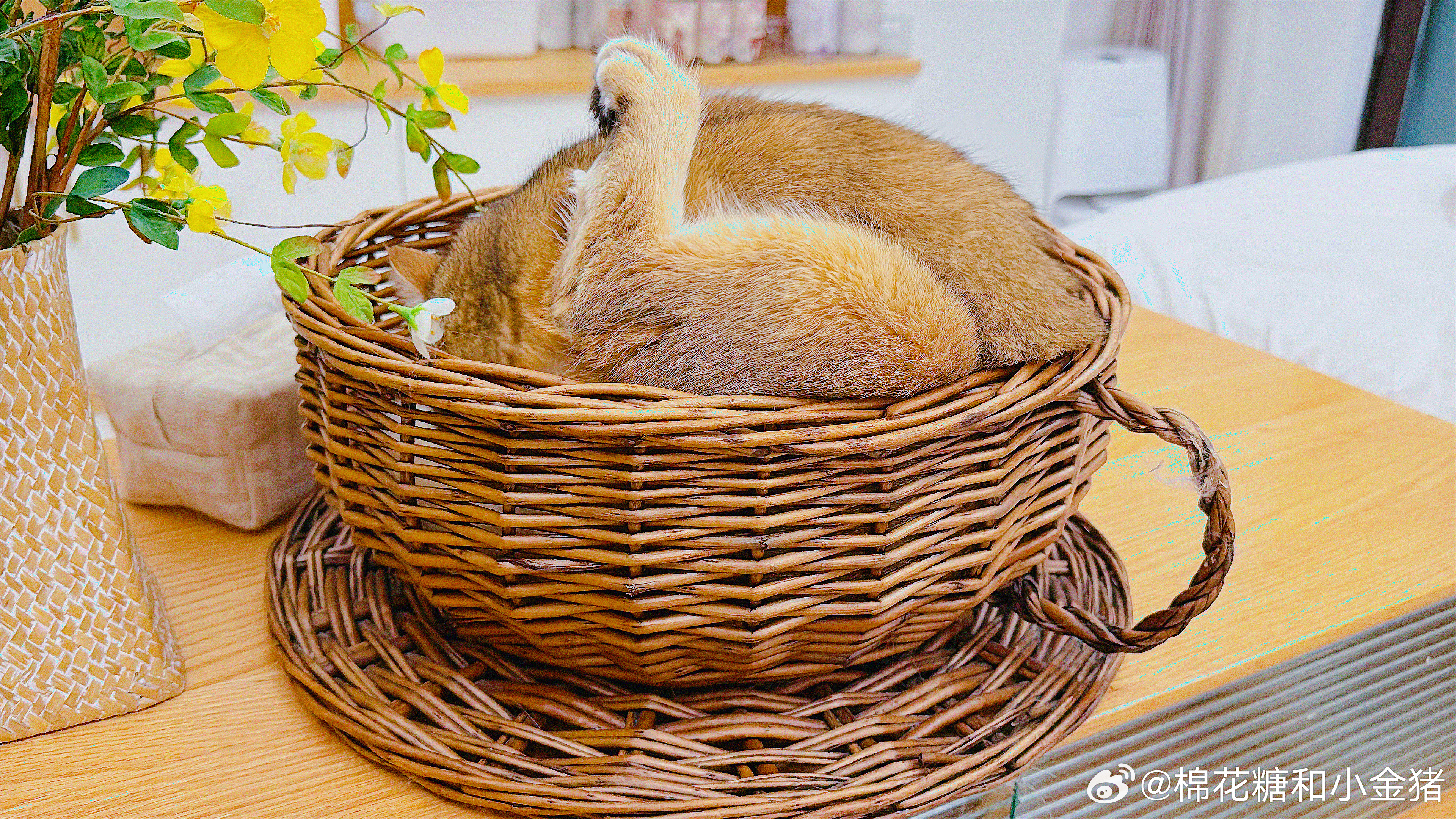 一篮烤鸡 ​​​