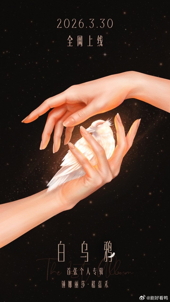 锤娜丽莎这张专辑等了十年 喜剧只是她的保护色，唱歌才是初心！等了整整十年，锤娜丽