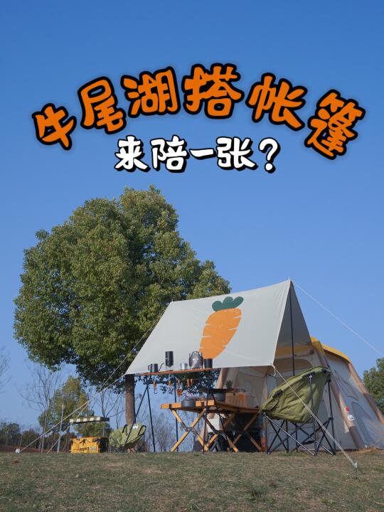 交换春天｜这宝藏湖边位置终于轮到我了