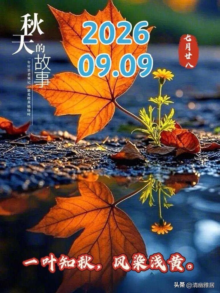 昨天那叫一个冷，再加上大北风呼呼刮，感觉穿多少都觉得穿少了，冻的直哆嗦。这股冷空