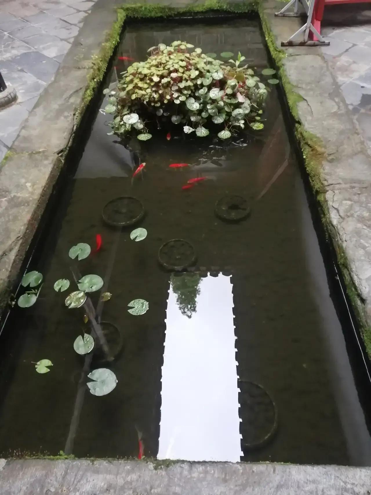 有些事情你压根儿没地说理去[捂脸]
又到了一年一度清岗的时候，本地教育系统的规定