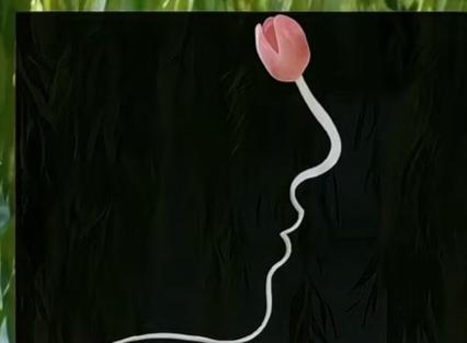 〔神奇的画面〕
图中画面真有趣；
初看就是小蝌蚪；
仔细琢磨才发现；
原来还有一